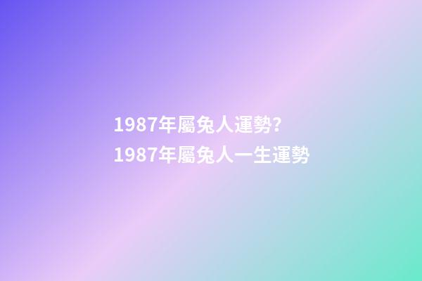 1987年屬兔人運勢？ 1987年屬兔人一生運勢-第1張-觀點-玄機派